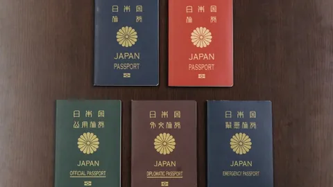 南特拼搏至终，与里昂握手言和